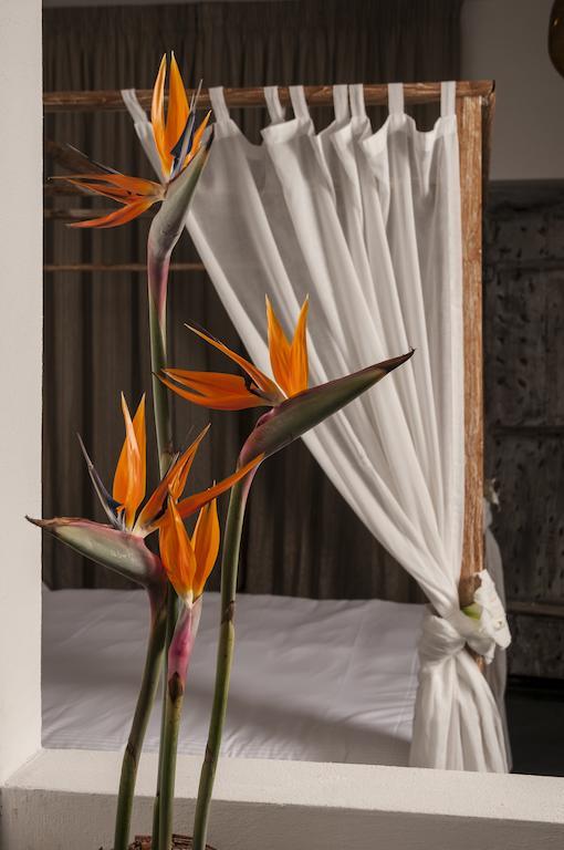 Seven Maze Charming House Bed & Breakfast Bari Bilik gambar